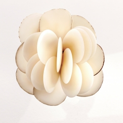  Rose blanche en ivoire végétal montée sur une broche. Fabriquée en France dans le Sud Ouest en tagua, ivoire végétal par Kokobelli