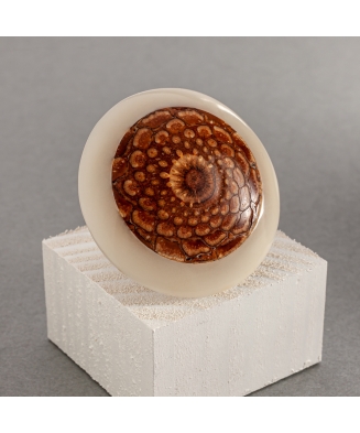 Bague Fibonacci en ivoire végétal et pomme de pin fabriquée à Lège Cap Ferret