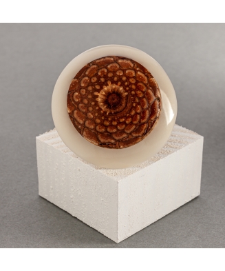 Broche Fibonacci en ivoire végétal et pomme de pin fabriquée en France en Gironde 
