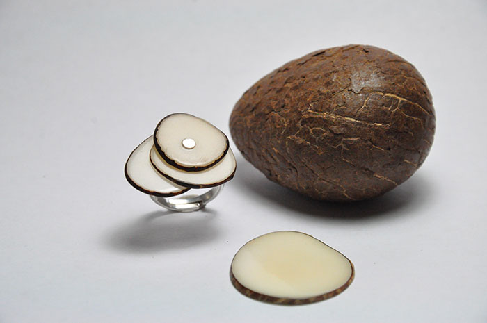 Noix de tagua & bague en argent | Kokobelli
